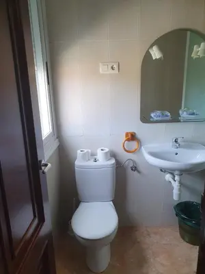 a bathroom with a toilet and a sink at A Concha in Lavacolla