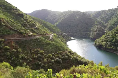 arial view of a river in a valley with trees at Casa Juca in La Teijeira