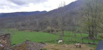 two horses grazing in a field with mountains in the background at Casa Antonio y Benina in Sosas de Laciana