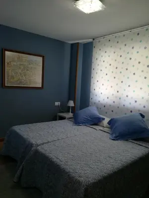 a bedroom with a large bed with blue walls at Castelao Apartments in Arzúa
