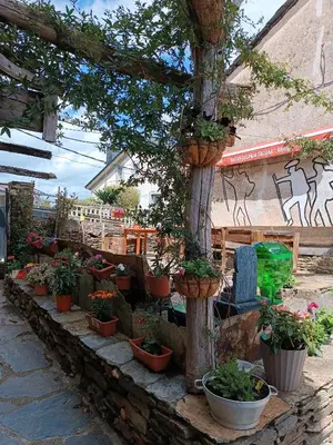 a bunch of potted plants on a wooden pole at Pensión y Albergue Matias Locanda in Sarria