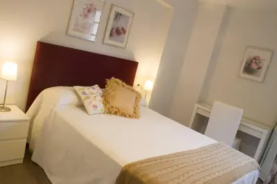 a bedroom with a white bed with two pillows on it at Céntrico Burgas Termal in Ourense