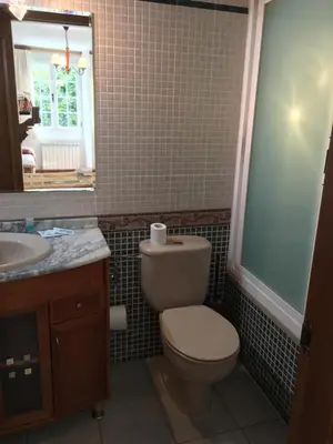 a bathroom with a toilet and a sink and a mirror at Os Arroxos in Trabadelo