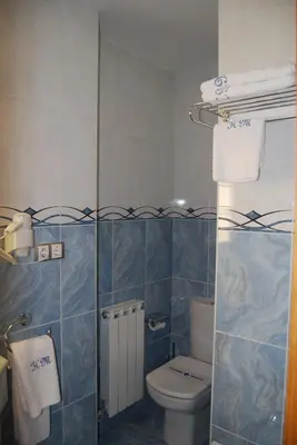 a bathroom with a toilet and blue tiled walls at Hotel Meleiros in Castro de Sanabria