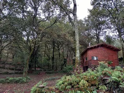 a red brick building in the middle of a forest at Veiga Mariña in Pontevedra