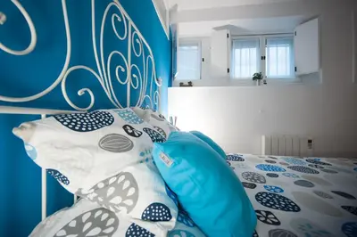 a blue bed with butterfly pillows on top of it at Entrepexigos in Santiago de Compostela