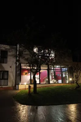 a tree in front of a building at night at Hotel Amenal in Amenal