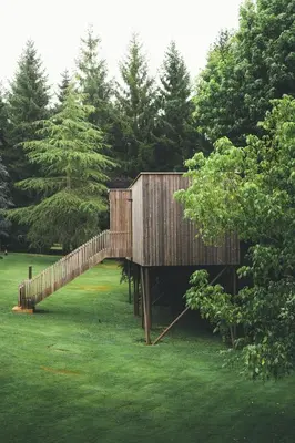 a wooden bridge in a field with trees at HolaCamp Camino in O Pino