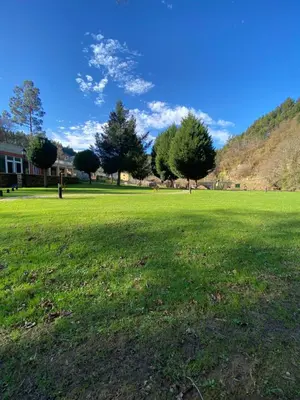 a large field of green grass with trees in the background at Hotel Mirador de Barcia in Ribeira de Piquin