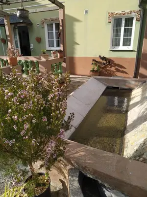 a pond in front of a house with a plant at El Pinar in Ribadeo