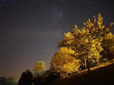 a starry night with trees on a hill at Casa dos Muros turismo rural y actividades en la Ribeira Sacra in Pantón
