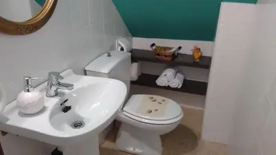 a bathroom with a white toilet and a sink at Casa fonte da pena in Rinlo