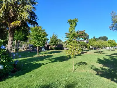 a green yard with trees and grass and a small tree at Casa Bartulo in Castrofeito