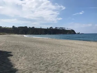 a sandy beach with the ocean and trees in the background at Apartamentos Las Fuentes in Castropol