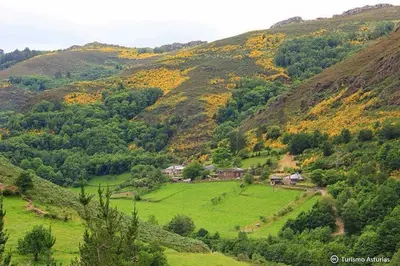 a green hillside with houses in a green field at A Casoa in Santa Eulalia de Oscos