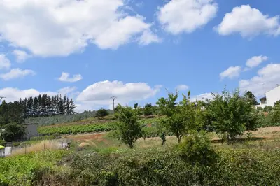 a vineyard with trees and a blue sky with clouds at La Casa de Manuel in Portomarin