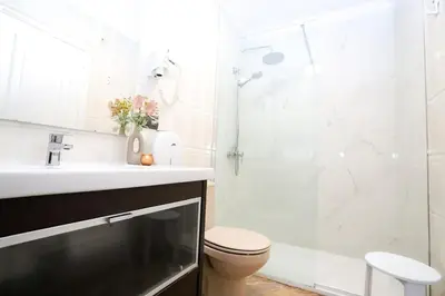 a bathroom with a shower and a toilet and a sink at Pensión As Burgas in Caldas de Reis