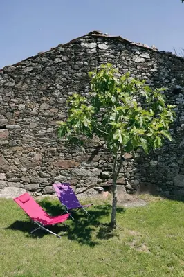 two chairs and a tree next to a stone wall at Galpon Boutique Aldea De Abaixo in Palas de Rei