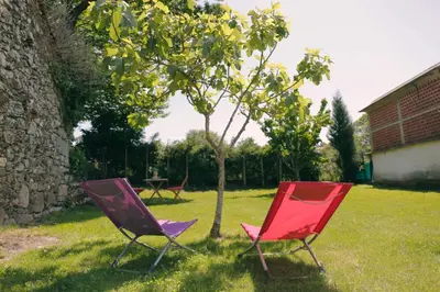 two chairs sitting in the grass next to a tree at Galpon Boutique Aldea De Abaixo in Palas de Rei