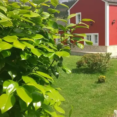 Vivienda de Uso Turístico Carballo Blanco 1