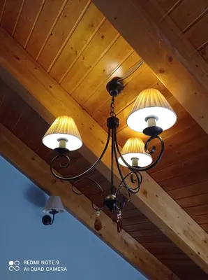 a chandelier hanging from a wooden ceiling at Casa Rural Las Mestas in Cangas del Narcea