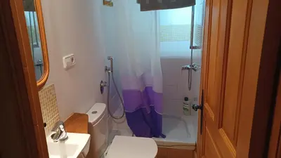 a bathroom with a shower and a toilet and a sink at A Palleira in Castro Caldelas
