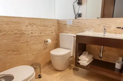 a bathroom with a toilet and a sink at Hotel San Miguel in Santiago de Compostela