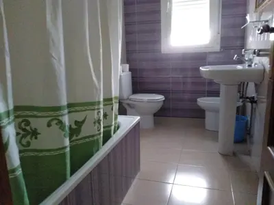 a bathroom with a sink and a toilet and a shower curtain at Hostal Orly in Camponaraya