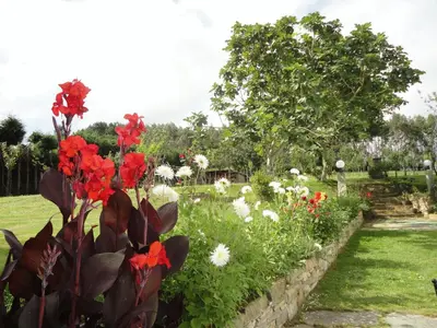 a garden with red and white flowers in a yard at Casa Rural Vila Pomar in Ribadeo