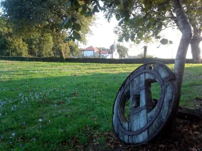 a wooden object sitting in the grass under a tree at Casa Vixide in Lalín
