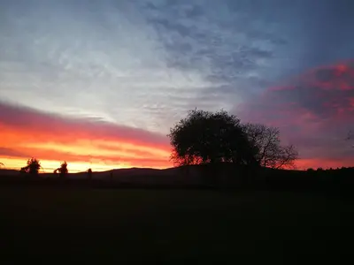 a sunset with a tree in a field at Casa Vixide in Lalín