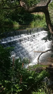 a waterfall in the middle of a forest at Casa do Mudo in Cervo