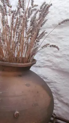 a vase filled with grass sitting on top of a table at Casa do Solpor in La Teijeira