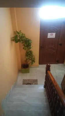 a staircase with a potted plant next to a door at Pension a Fontiña in Cuntis