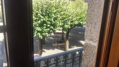 a view from a window of a tree and a bench at Pension a Fontiña in Cuntis
