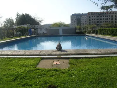 a bird is sitting in front of a large pool at Balneario Acuña in Caldas de Reis