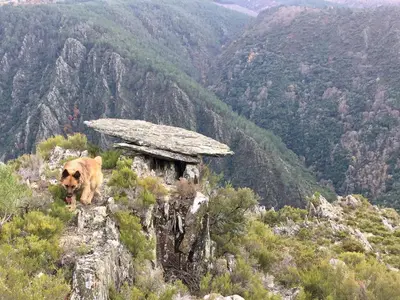 a dog standing on top of a mountain at Casa do Conto in Doade