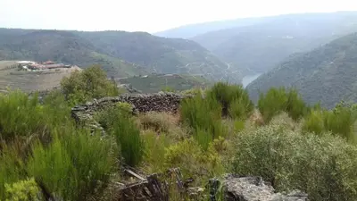 a stone wall on a hill with a valley at Casa do Conto in Doade
