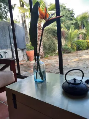 a vase with a flower in it on a table at Casa Rural Cabo de Aráns in Oroso