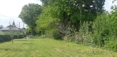 a field with trees and a bench in the grass at Casa de Corbelle in Muimenta