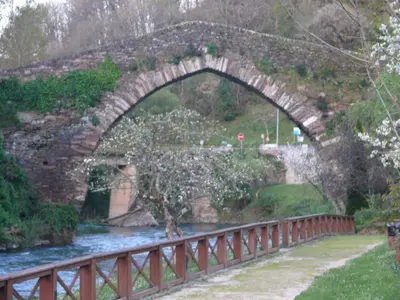 a stone bridge over a river with a tree under it at Casa do Catalán - Casa completa - Navia de Suarna in Navia de Suarna