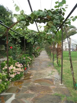 a garden with a pathway with plants and flowers at O Retiro do Conde in Villaza