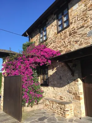 a building with purple flowers on the side of it at Hotel Casa Cachón in Tol