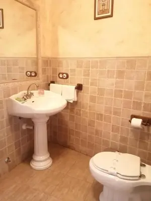 a bathroom with a sink and a toilet at Casa rural osvilares in Santiago de Compostela