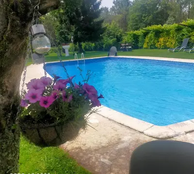 a hanging basket of flowers next to a swimming pool at Casa Rustica Neiro in Santiago de Compostela