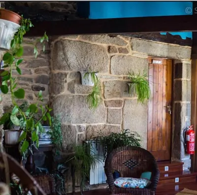 a stone wall with potted plants in front of a door at Casaquina in La Mezquita