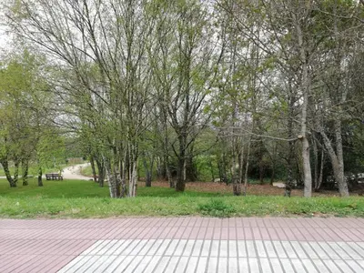a park with trees and a walkway and a field at Albergue Camiño Real in Sigüeiro