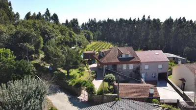 an aerial view of a house in a vineyard at Casa Duarte in Cuntis