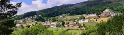 a village on a hill with houses and trees at A Casoa II in Santa Eulalia de Oscos