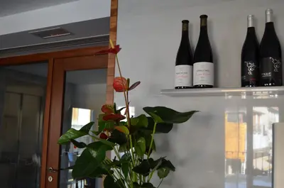 four bottles of wine on a wall with a plant at Plaza Mayor in Villafranca del Bierzo